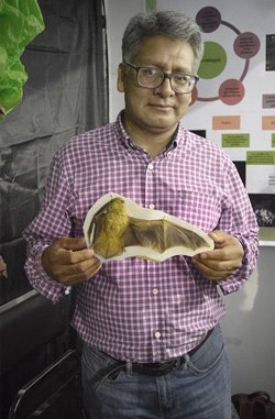 Matias Martinez Coronel
